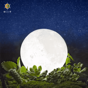 Moon Lamp 2024 Upgrade with Timing 3D Moon Night Light 16 Colors Wooden Stand & Remote/Touch Control and USB Rechargeable 月亮灯 2024 升级版，带定时 3D 月亮夜灯 16 种颜色木质支架和遥控/触摸控制，可 USB 充电