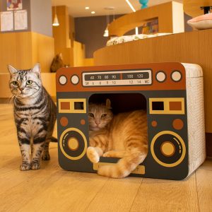 收音机形状猫抓板猫窝，耐用猫抓板玩具，室内猫用猫床，猫窝