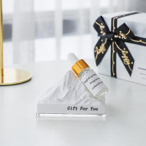 Trendy Luxury Fragrance Diffuser with Scented Alps Stone and Essential Oil Set - Elegant Home Aroma Gift Box - Two Choices of Scent Available