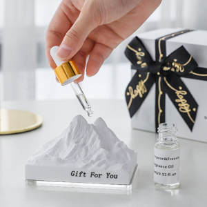 Trendy Luxury Fragrance Diffuser with Scented Alps Stone and Essential Oil Set - Elegant Home Aroma Gift Box - Two Choices of Scent Available