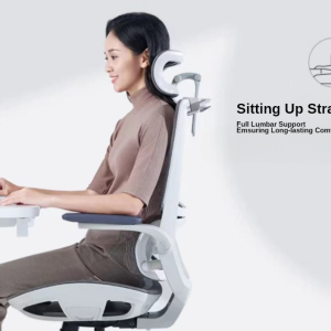 Sihoo M59AS Ergonomic Office Chair - with Dual Backrest and Headrest - White/Grey