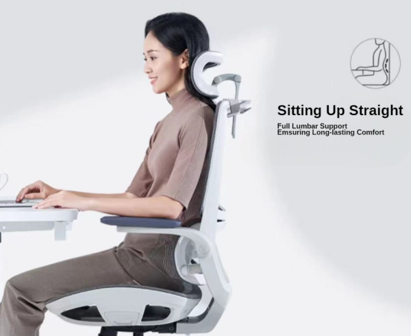 Sihoo M59AS Ergonomic Office Chair - with Dual Backrest and Headrest - White/Grey - 图片 6
