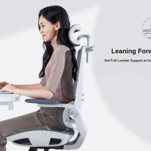 Sihoo M59AS Ergonomic Office Chair - with Dual Backrest and Headrest - White/Grey