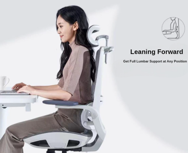 Sihoo M59AS Ergonomic Office Chair - with Dual Backrest and Headrest - White/Grey - 图片 5