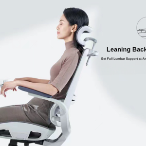 Sihoo M59AS Ergonomic Office Chair - with Dual Backrest and Headrest - White/Grey