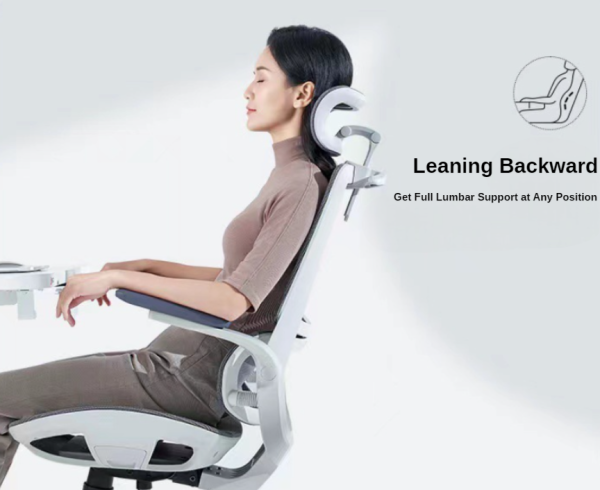 Sihoo M59AS Ergonomic Office Chair - with Dual Backrest and Headrest - White/Grey - 图片 4