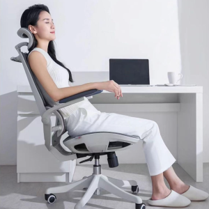 Sihoo M59AS Ergonomic Office Chair - with Dual Backrest and Headrest - White/Grey