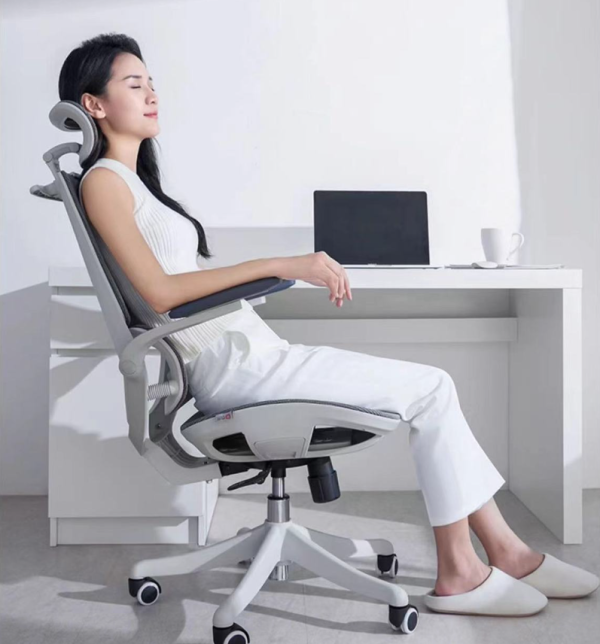 Sihoo M59AS Ergonomic Office Chair - with Dual Backrest and Headrest - White/Grey - 图片 2