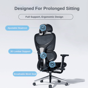 Shuji Ergonomic Office/Gaming Chair with Adjustable Lumbar Support, 3D Armrests, and Reclining Function - Black