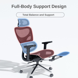 Shuji Ergonomic Office/Gaming Chair with Adjustable Lumbar Support, 3D Armrests, and Reclining Function - Black